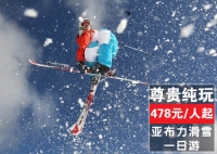 桿ǲѩһΣǶ飬桿ں